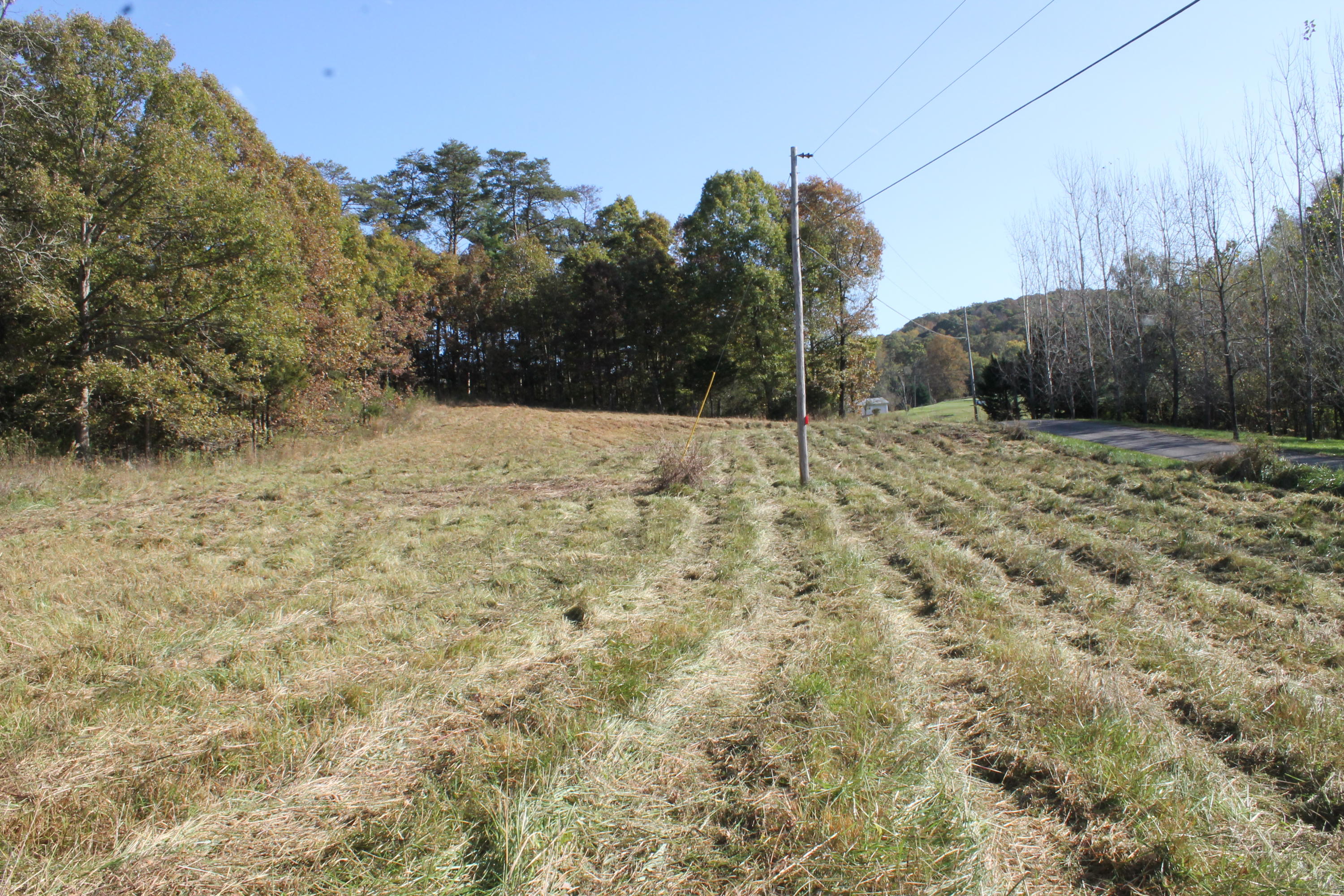 7.52-ac Rader Lane Greeneville, TN 37743 - Photo 8 of 13 IMG_9822