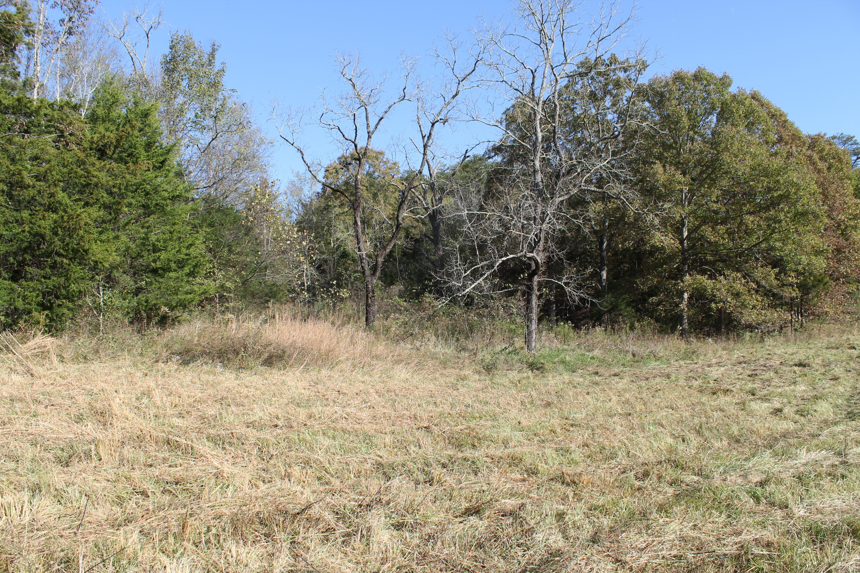7.52-ac Rader Lane Greeneville, TN 37743 - Photo 9 of 13 IMG_9823