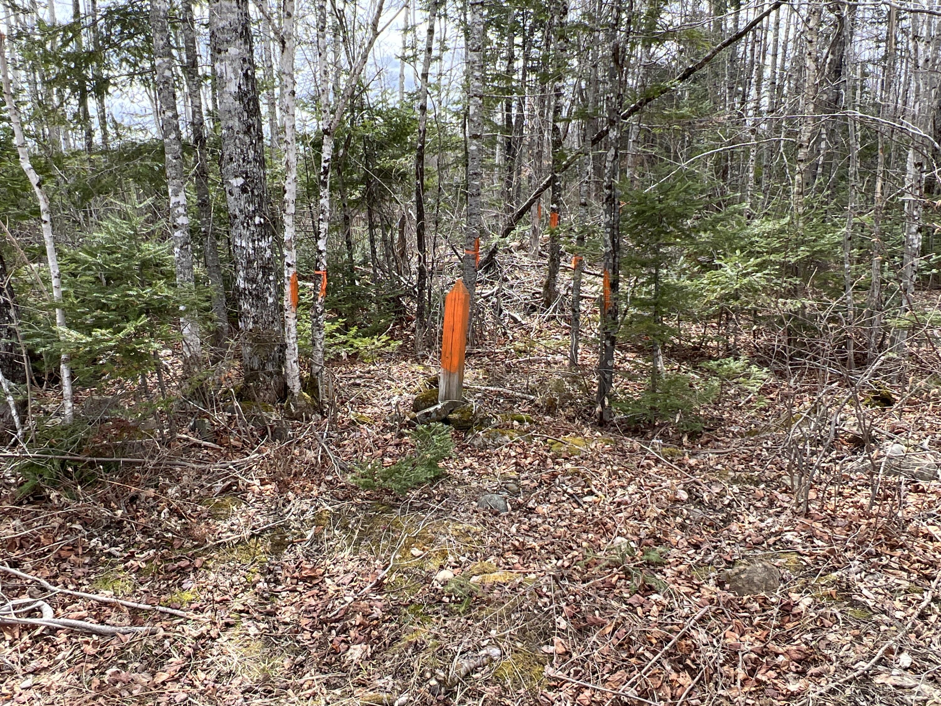 387 Monument Road Amity, ME 04471 - Photo 21 of 34 IMG_3085