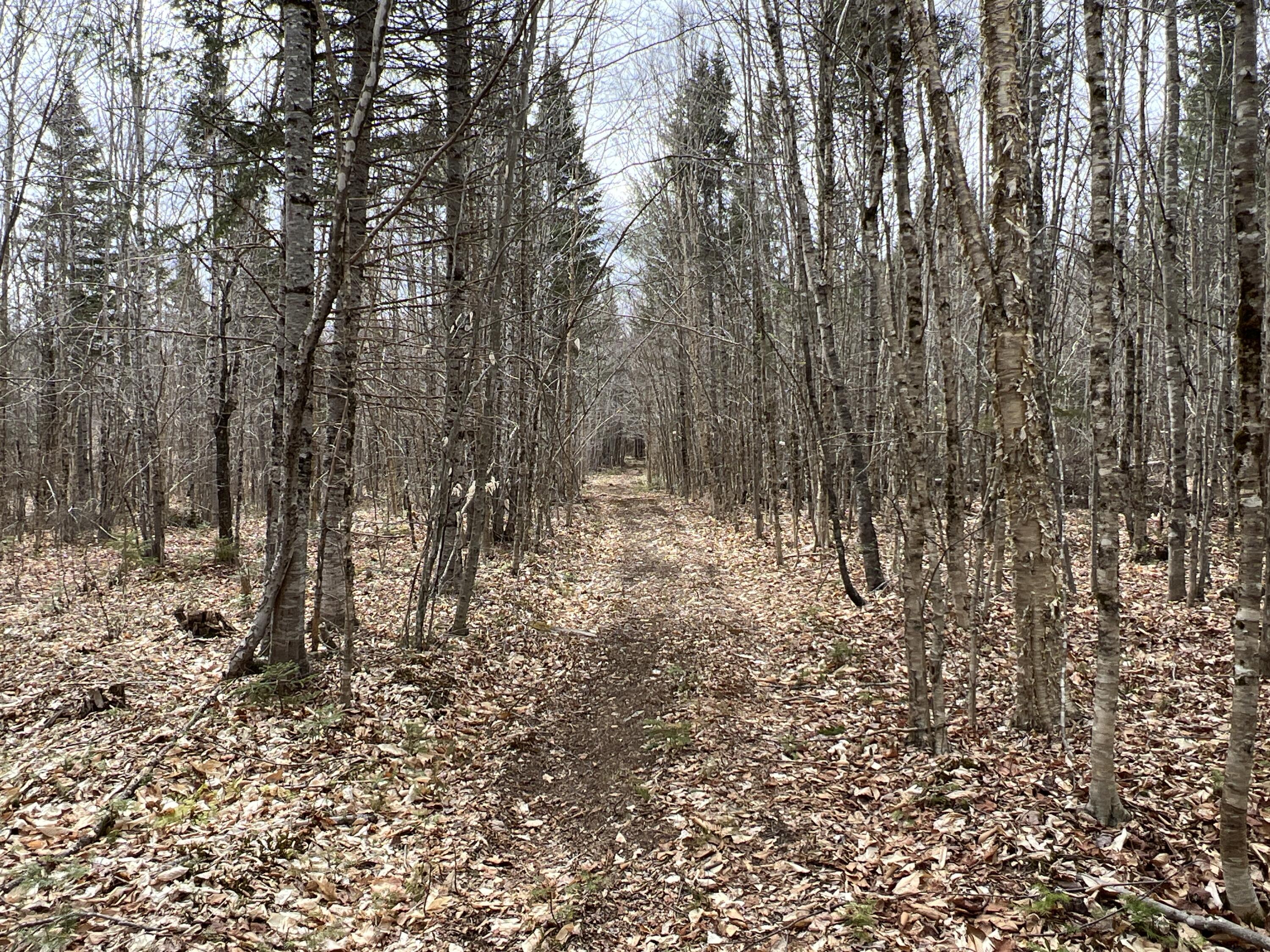 387 Monument Road Amity, ME 04471 - Photo 22 of 34 IMG_3070