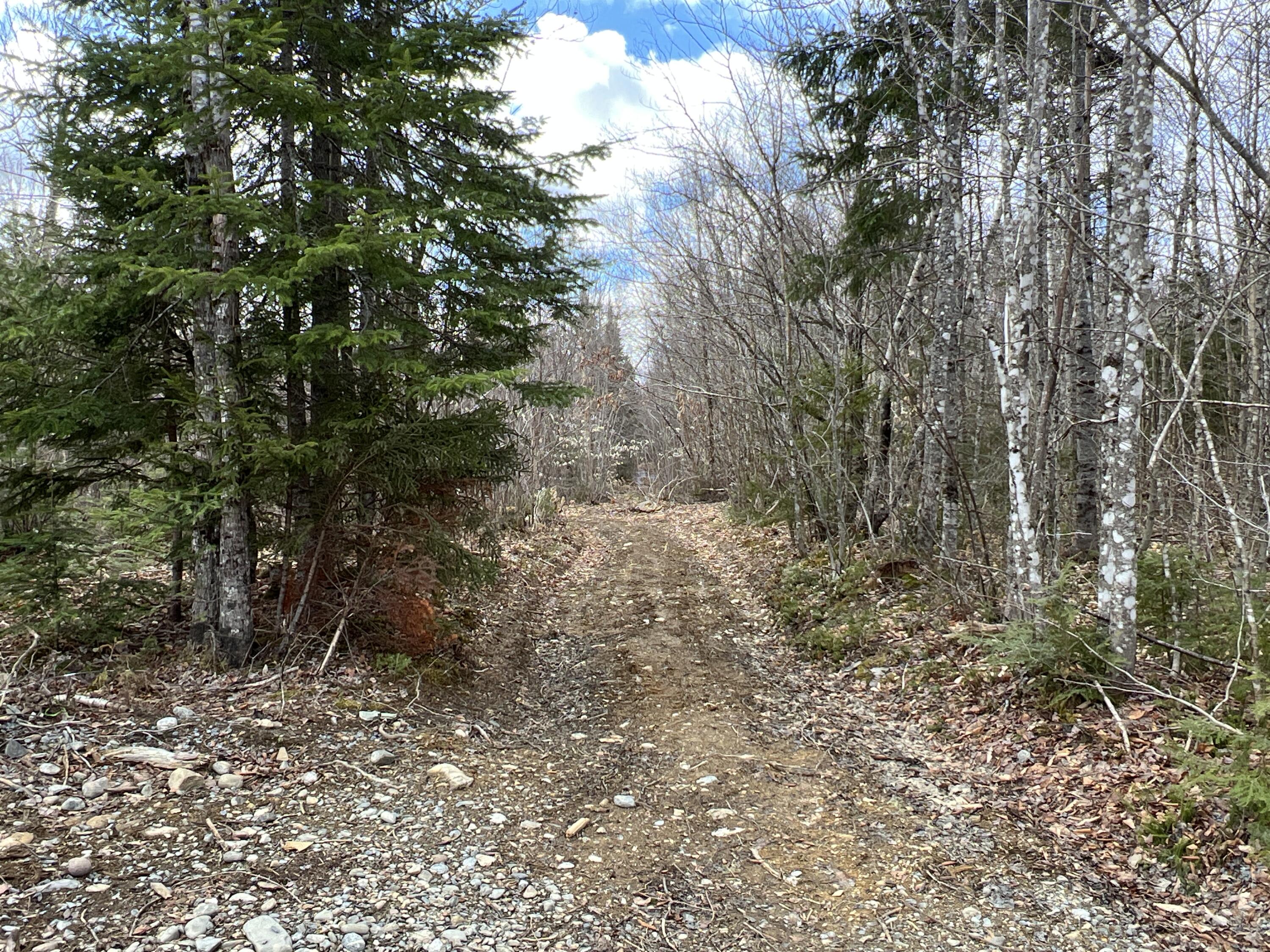 387 Monument Road Amity, ME 04471 - Photo 23 of 34 IMG_3068