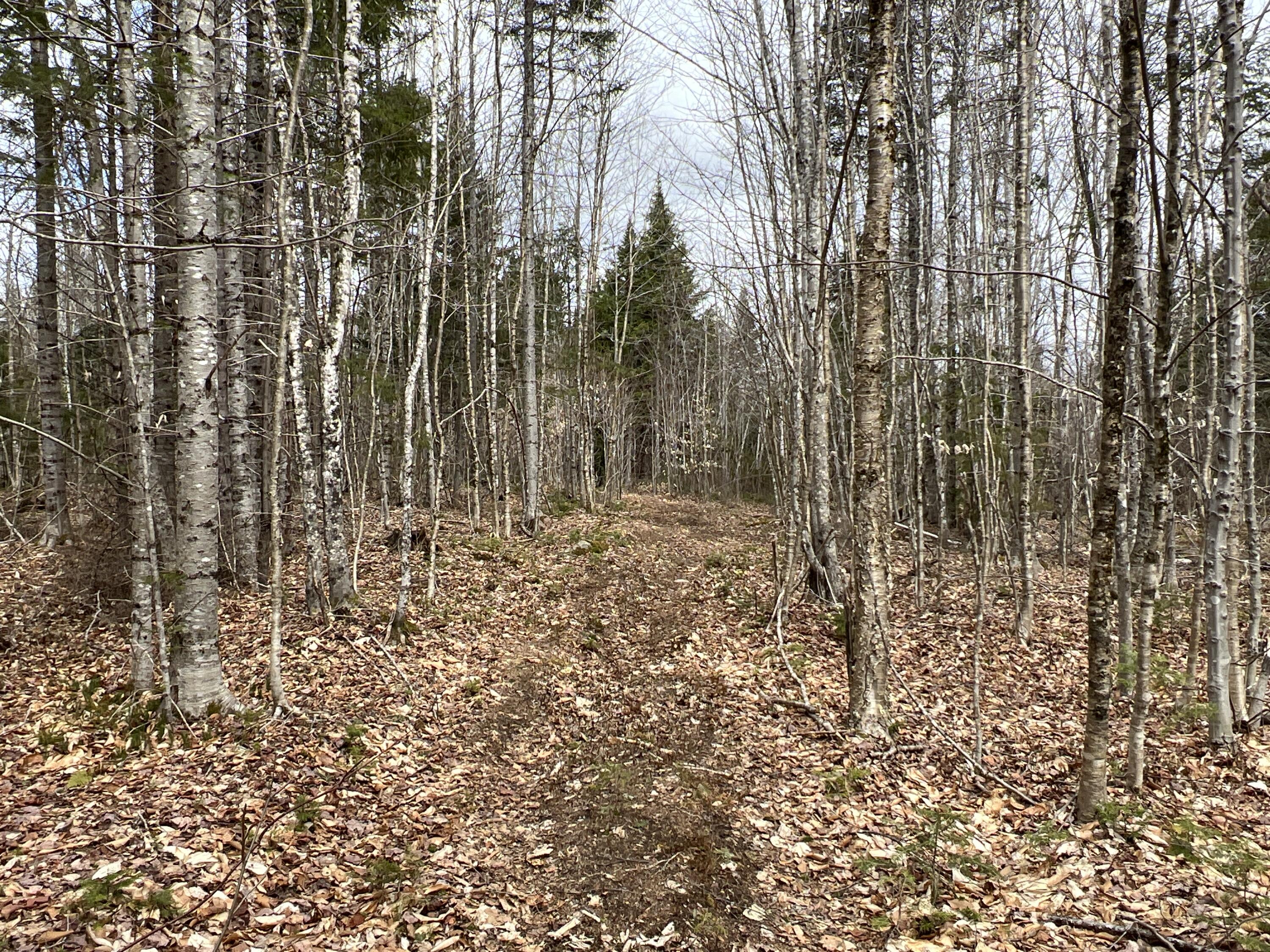 387 Monument Road Amity, ME 04471 - Photo 24 of 34 IMG_3071