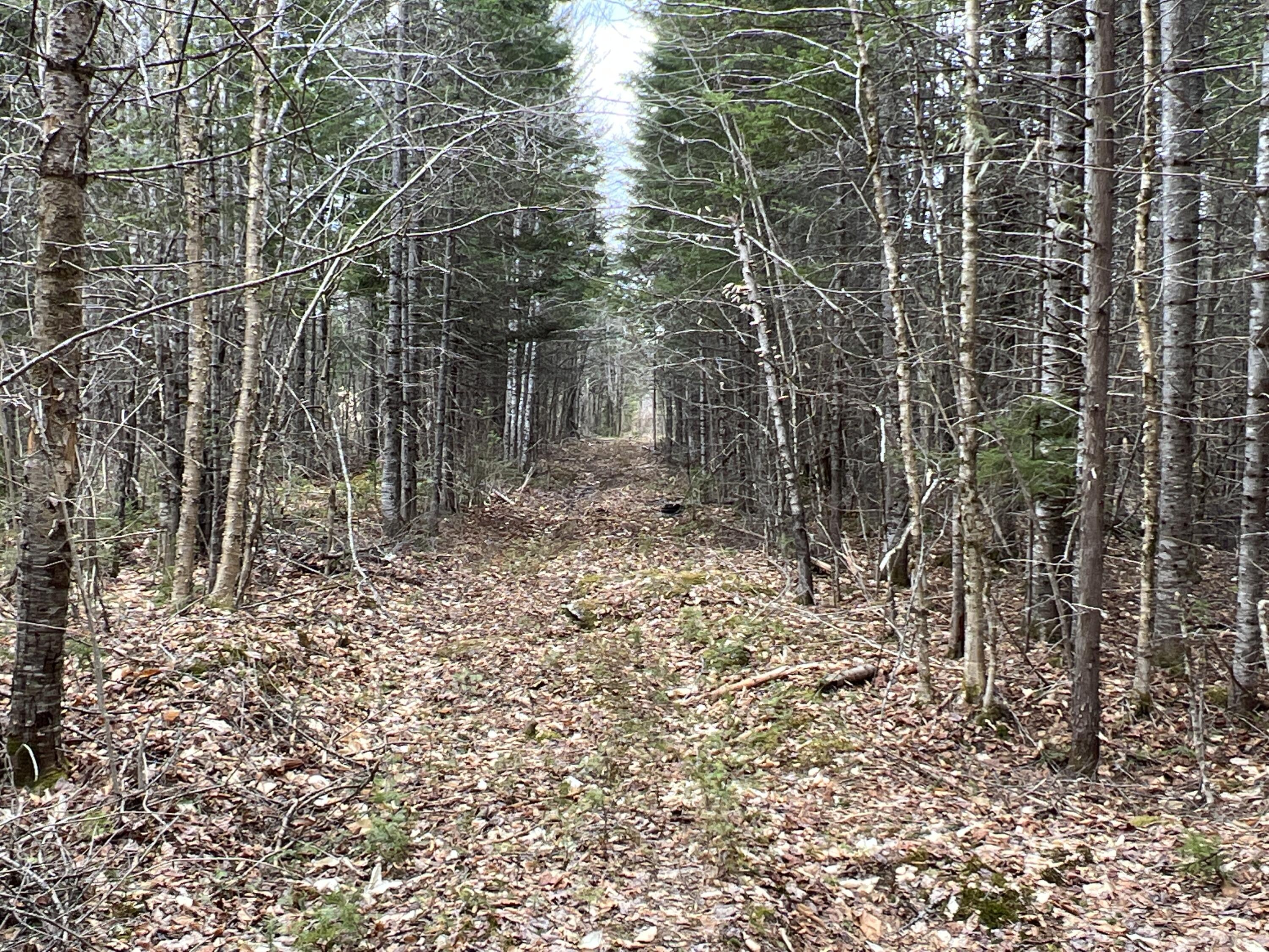 387 Monument Road Amity, ME 04471 - Photo 26 of 34 IMG_3073