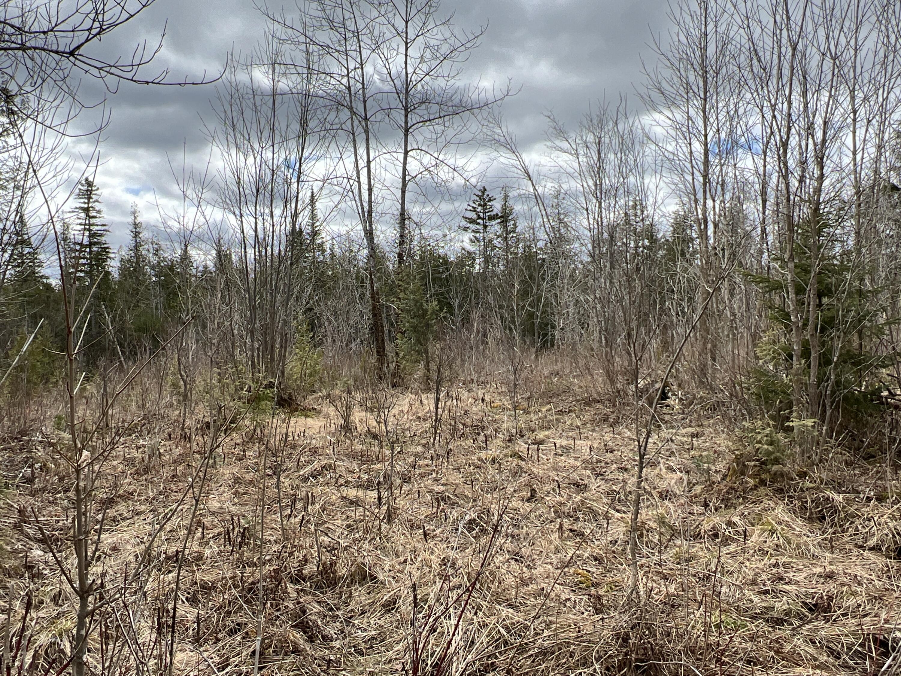 387 Monument Road Amity, ME 04471 - Photo 29 of 34 IMG_3076