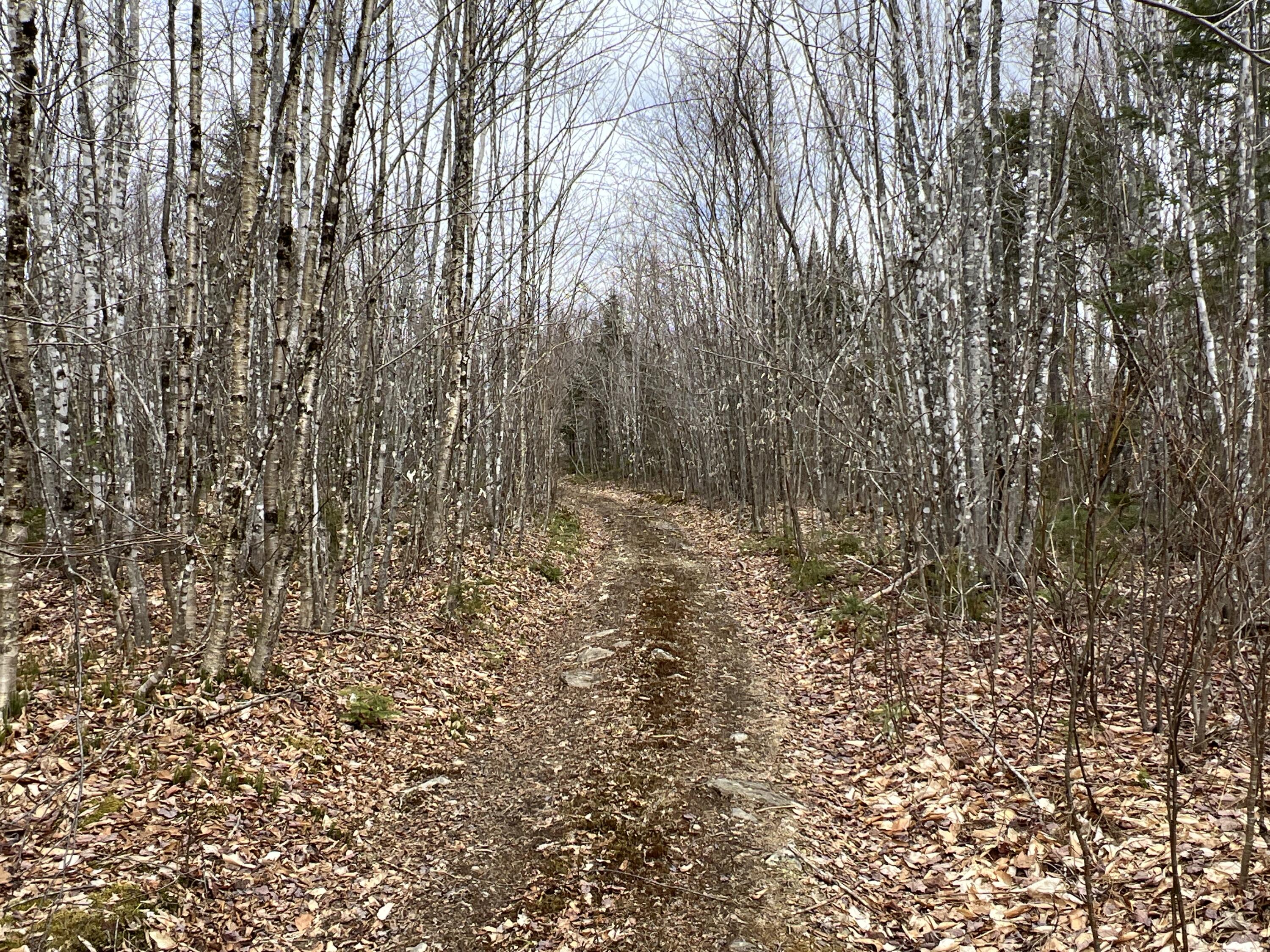 387 Monument Road Amity, ME 04471 - Photo 34 of 34 IMG_3081