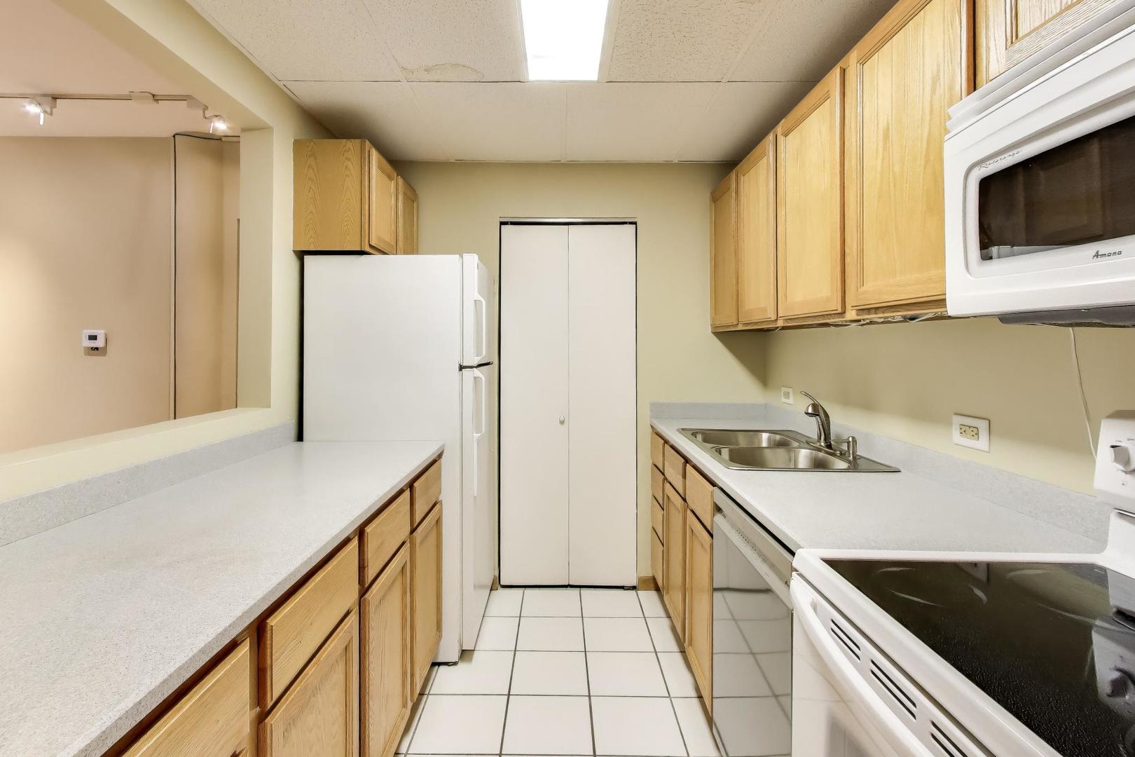431 South Dearborn Street, Unit 909 Chicago, IL 60605 - Photo 7 of 17