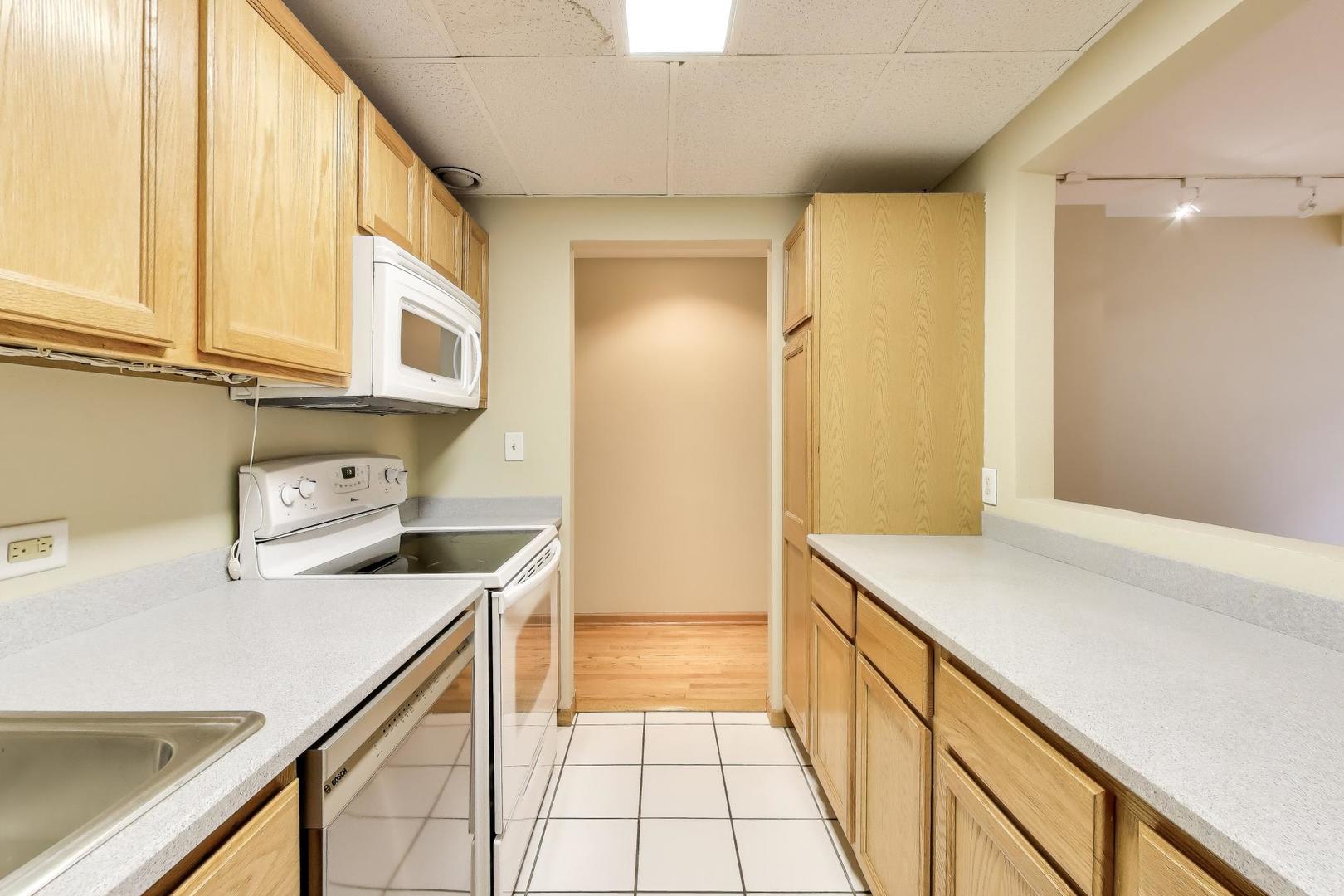 431 South Dearborn Street, Unit 909 Chicago, IL 60605 - Photo 8 of 17