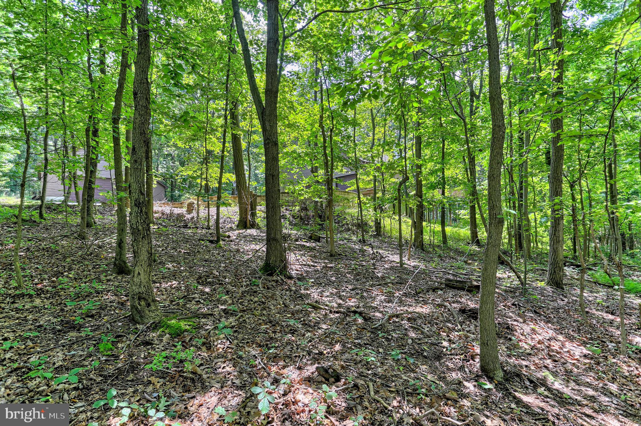 995 Gorsuch Road Westminster, MD 21157 - Photo 51 of 51 Gallery Image 51