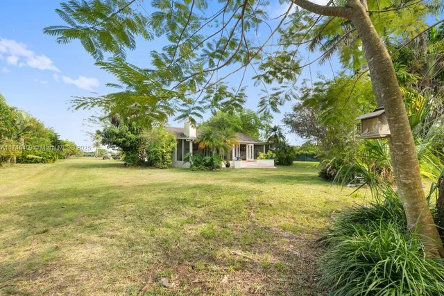 a view of a yard with a tree