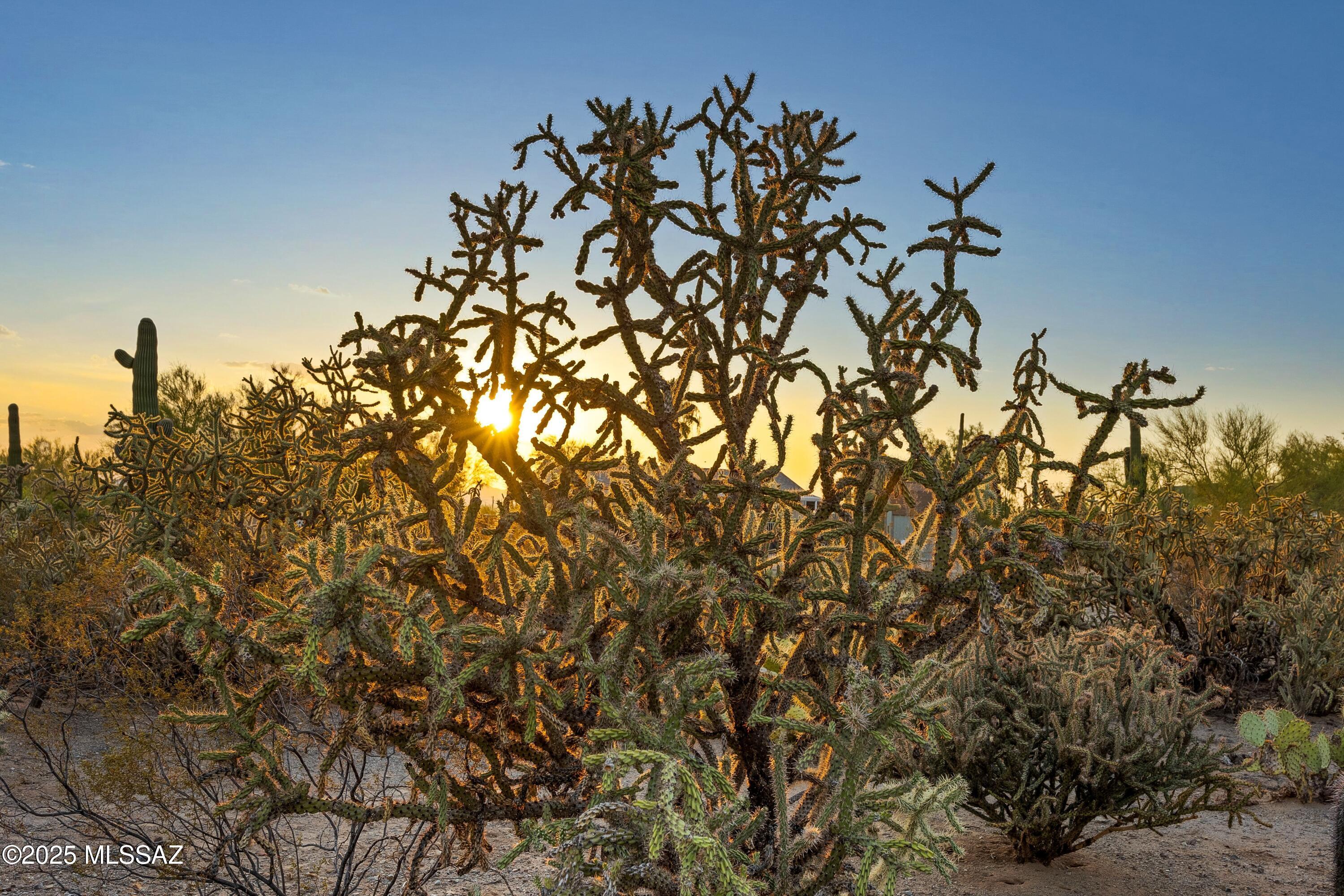 0 West Massingale Road Tucson, AZ 85743 - Photo 14 of 19