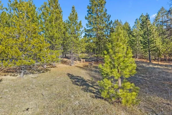$175,000 | 2957 Burnt Valley Road, Chewelah, WA 99109