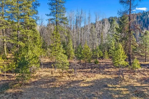$175,000 | 2957 Burnt Valley Road, Chewelah, WA 99109