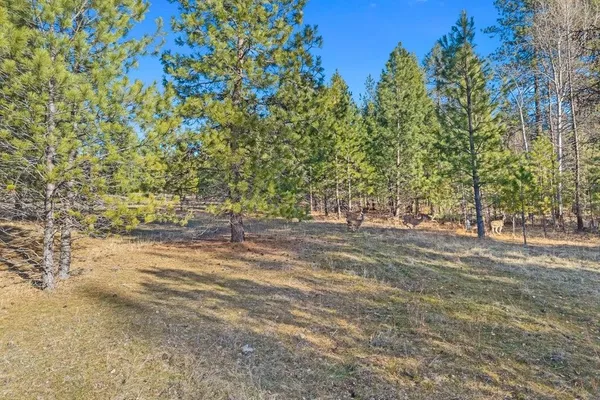$175,000 | 2957 Burnt Valley Road, Chewelah, WA 99109