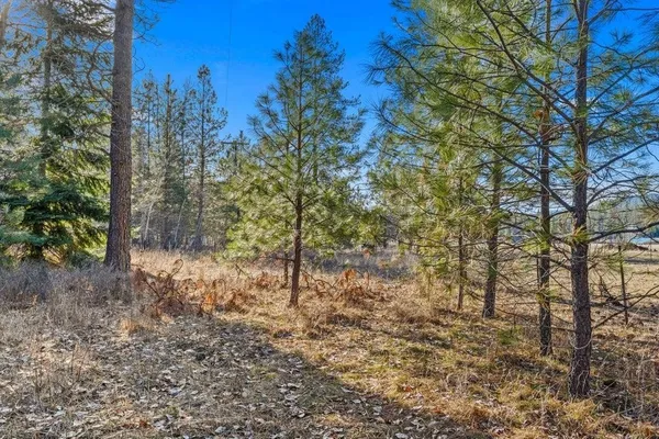 $175,000 | 2957 Burnt Valley Road, Chewelah, WA 99109