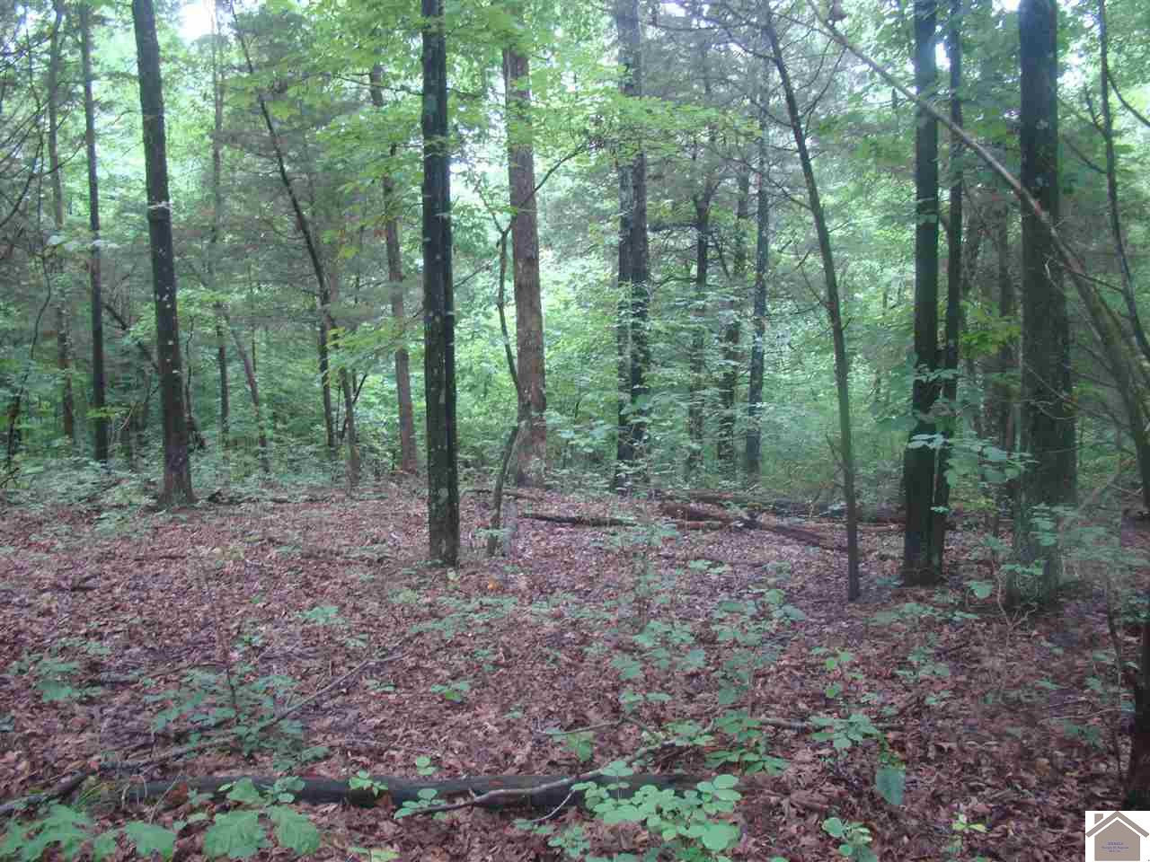 500 Crisp Road Cadiz, KY 42211 - Photo 1 of 1 Photo 1
