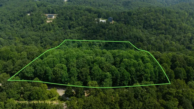 a backyard of a house with lots of green space and plants