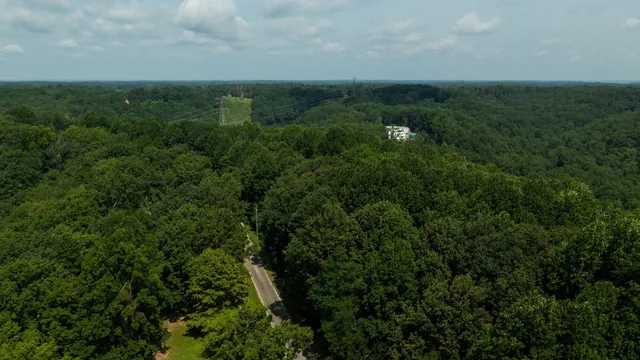 a view of a lush green forest with lots of trees