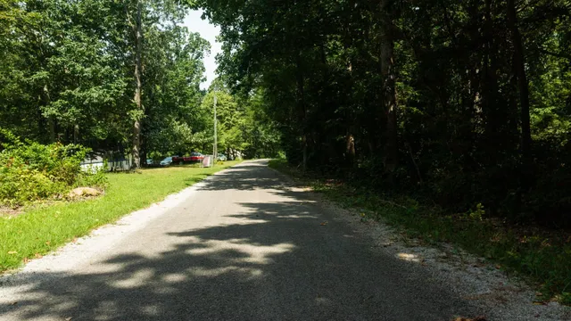 a view of a plants and trees in the background