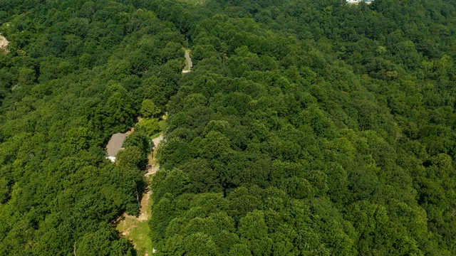 a view of a city with lush green forest