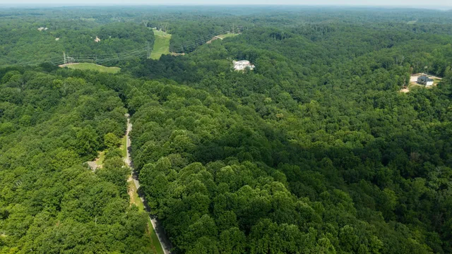 a view of a green yard
