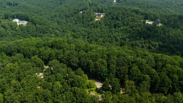 a view of a lush green forest with lots of trees
