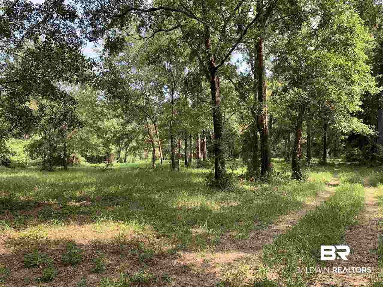 0 Frank Road Silverhill, AL 36576 - Photo 9 of 17
