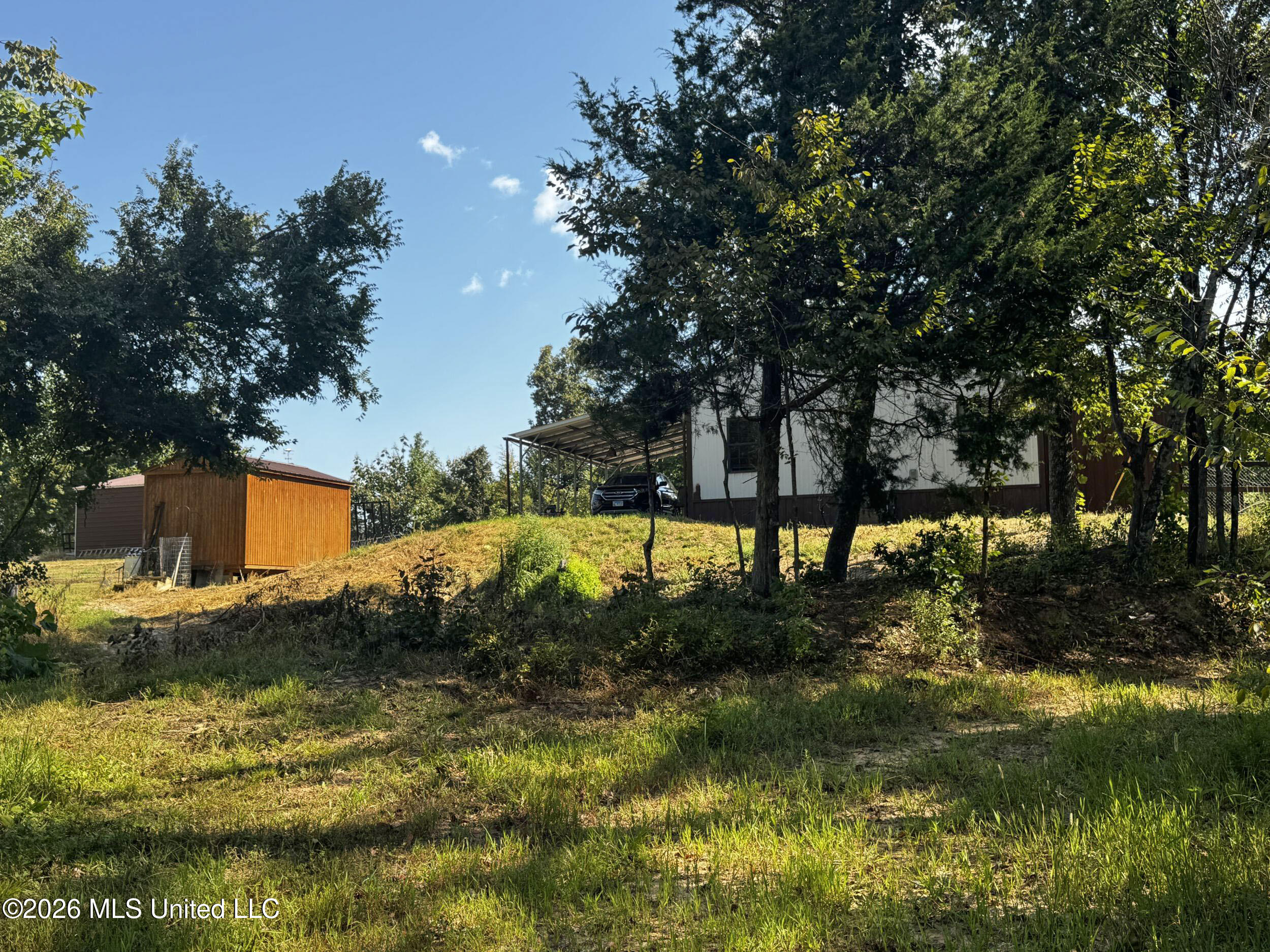 1765 Chapel Town Road Courtland, MS 38620 - Photo 130 of 135 9ltzcpl115