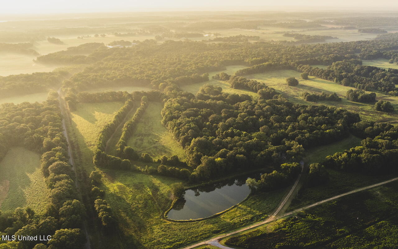 Vaughn Road Benton, MS 39039 - Photo 11 of 49 dji_0180