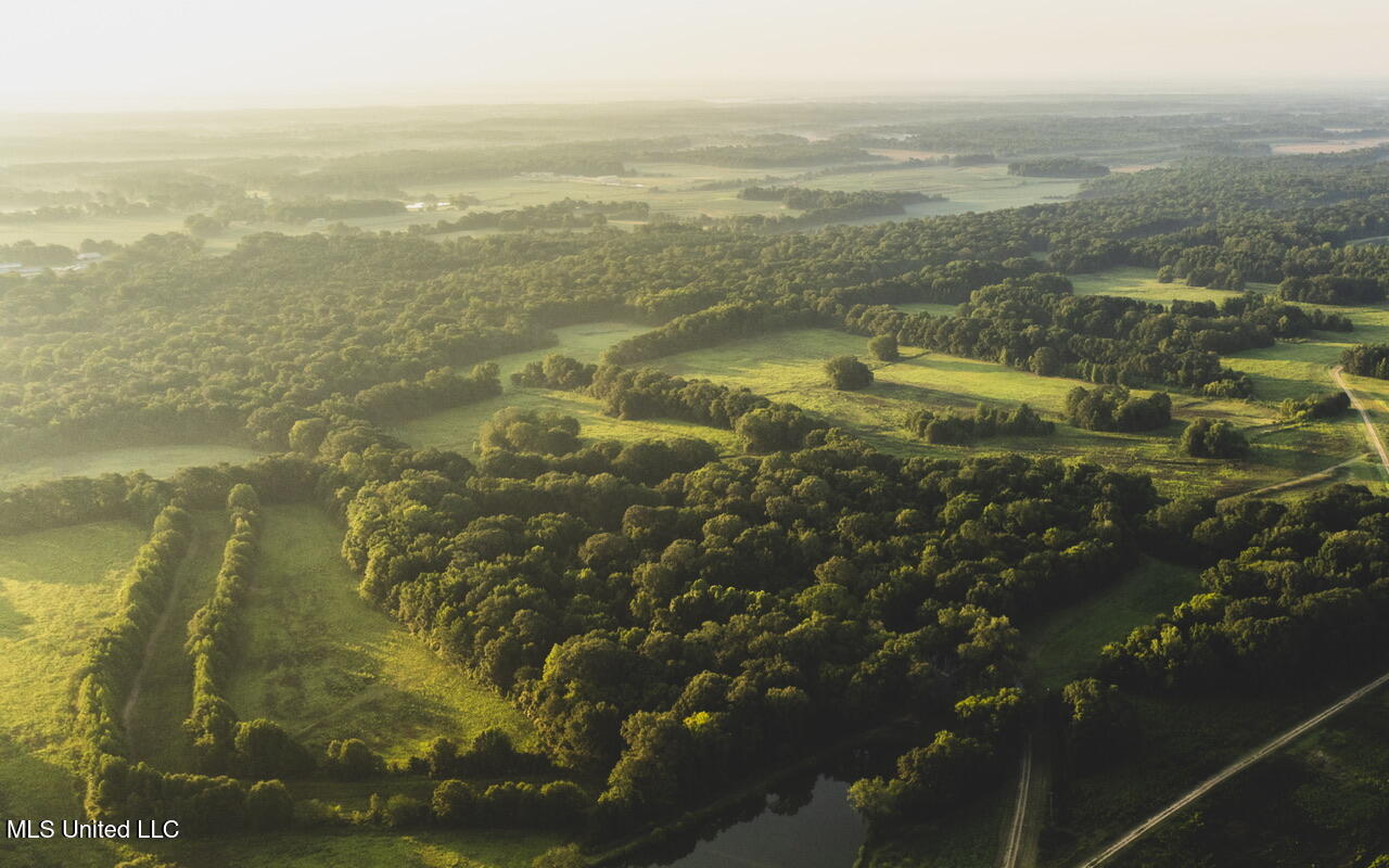 Vaughn Road Benton, MS 39039 - Photo 12 of 49 dji_0177