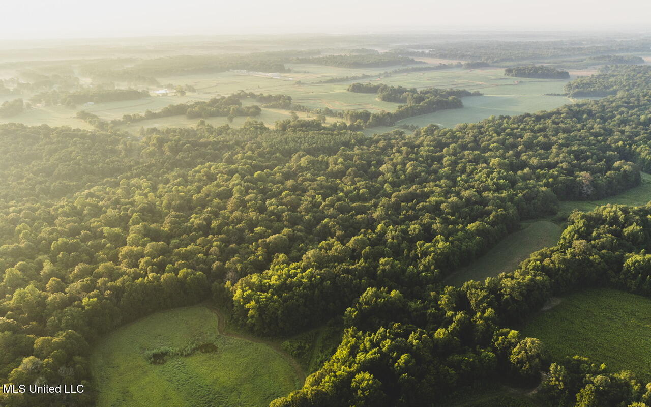 Vaughn Road Benton, MS 39039 - Photo 13 of 49 dji_0174