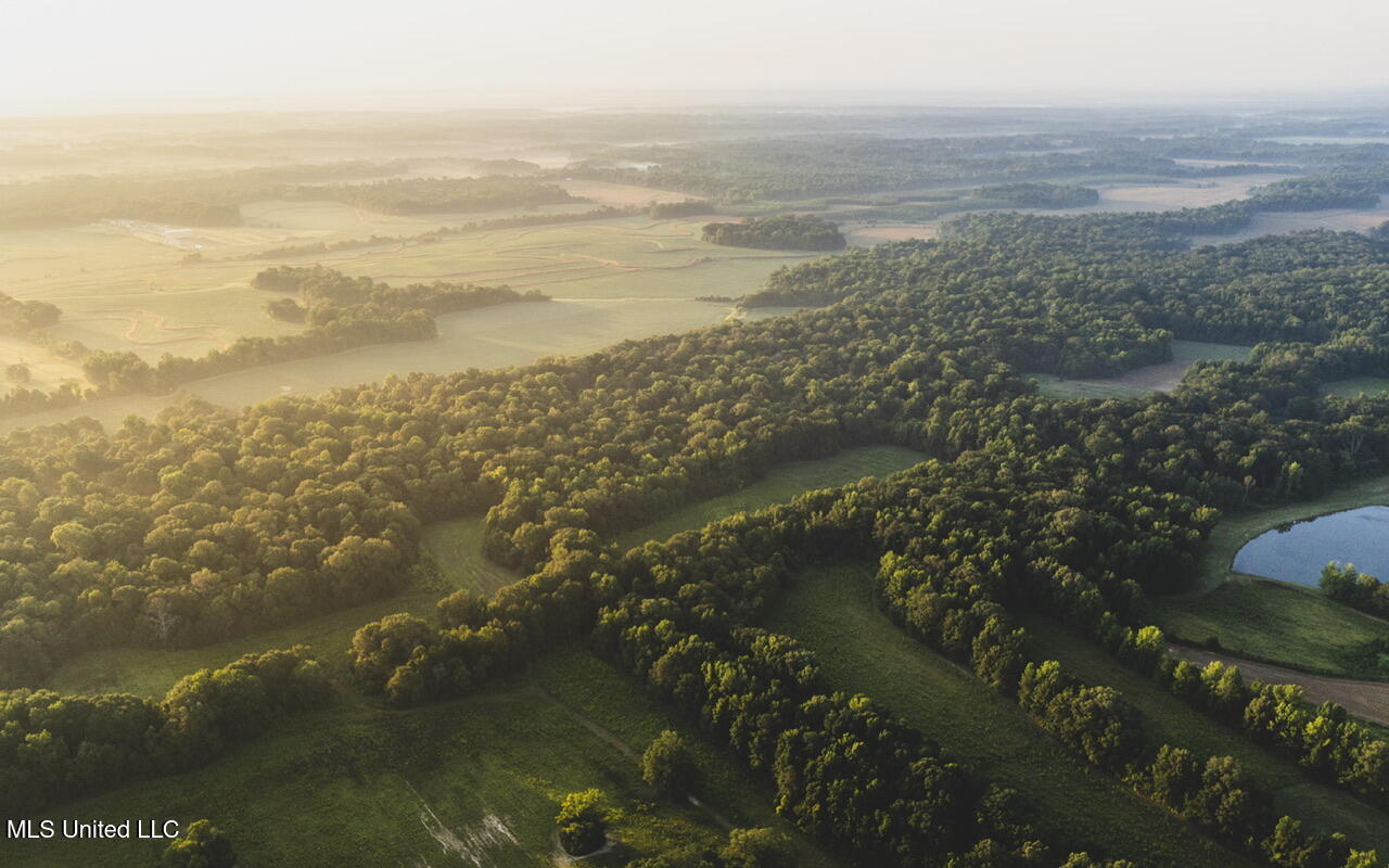 Vaughn Road Benton, MS 39039 - Photo 15 of 49 dji_0166