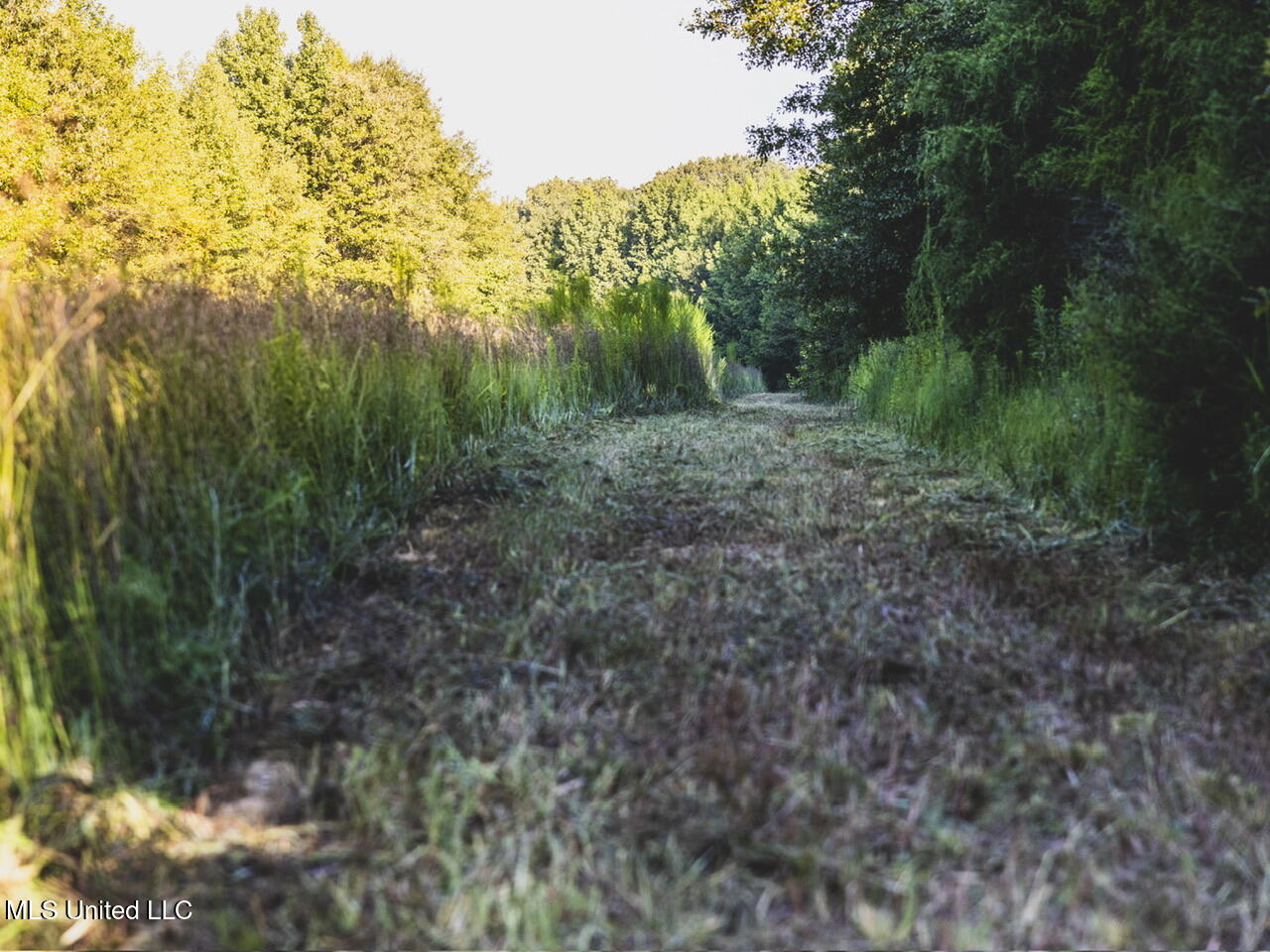 Vaughn Road Benton, MS 39039 - Photo 29 of 49 _f3a5462