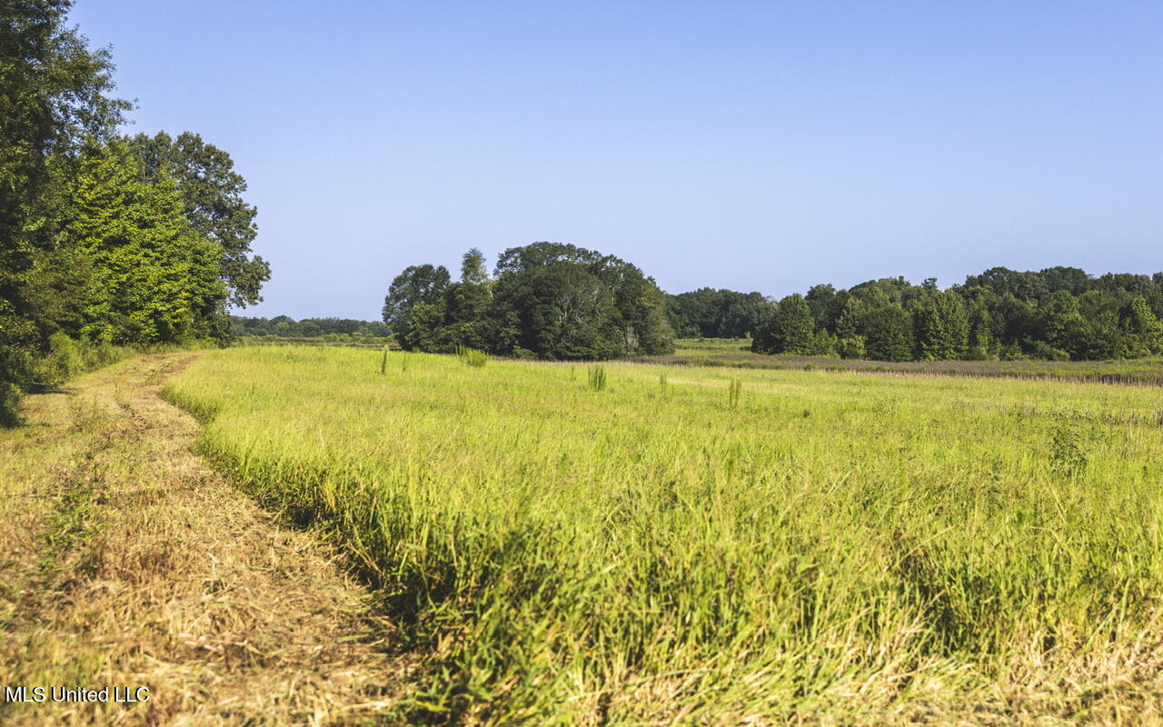 Vaughn Road Benton, MS 39039 - Photo 31 of 49 _f3a5449