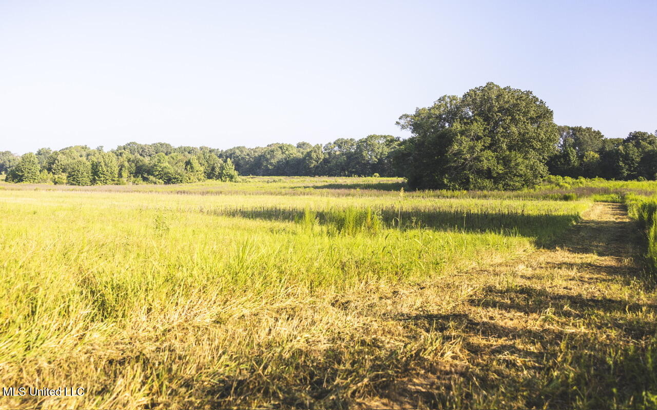 Vaughn Road Benton, MS 39039 - Photo 32 of 49 _f3a5443