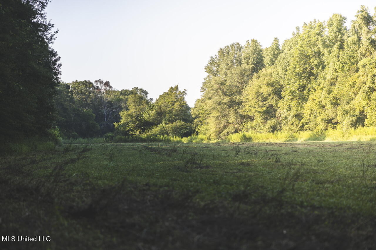 Vaughn Road Benton, MS 39039 - Photo 37 of 49 _f3a5412