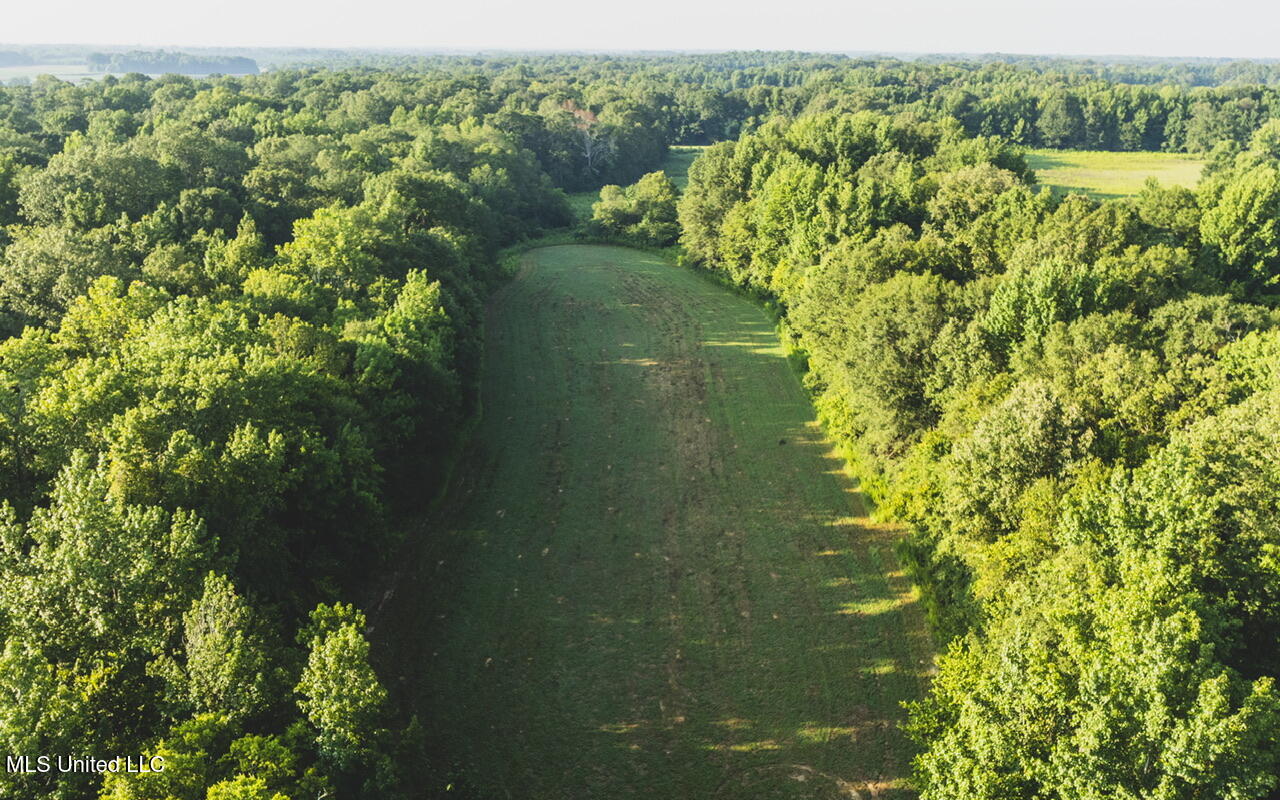Vaughn Road Benton, MS 39039 - Photo 8 of 49 dji_0187