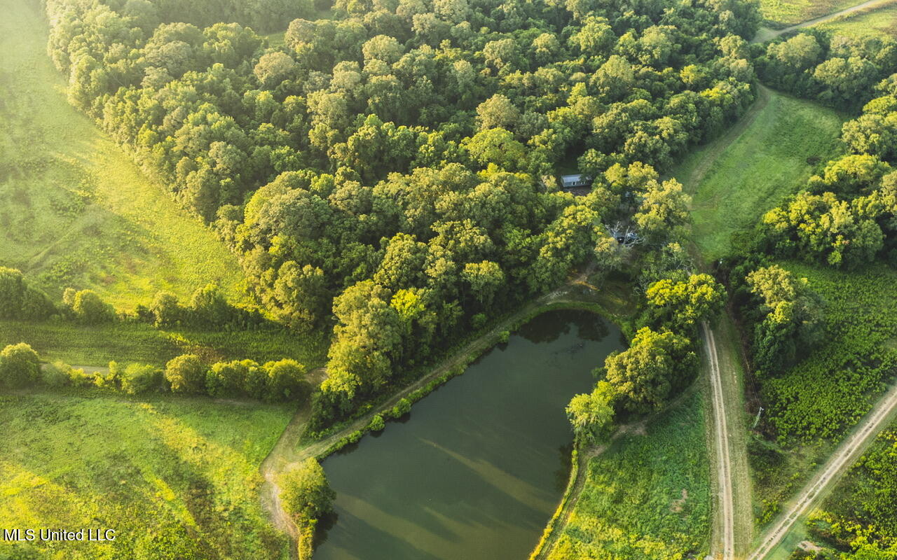 Vaughn Road Benton, MS 39039 - Photo 10 of 49 dji_0183