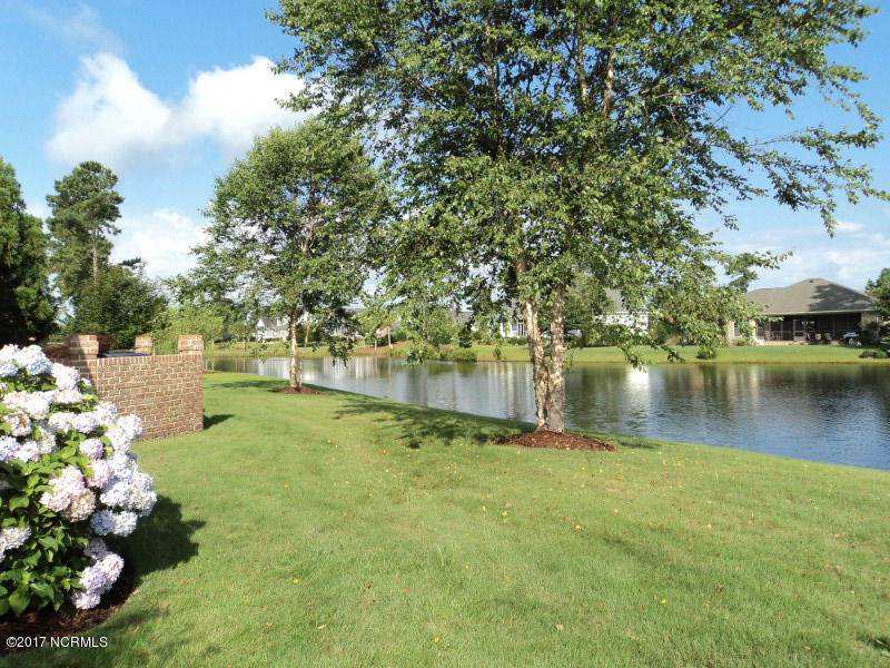 1309 Hydrangea Court Leland, NC 28451 - Photo 14 of 15 1309BackYardView
