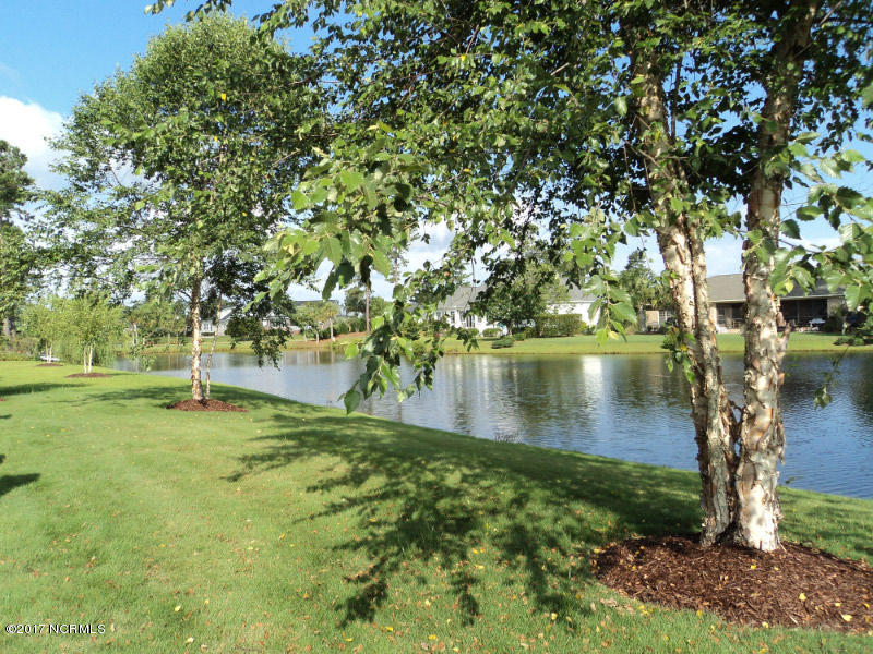 1309 Hydrangea Court Leland, NC 28451 - Photo 4 of 15 1309LeftPondView