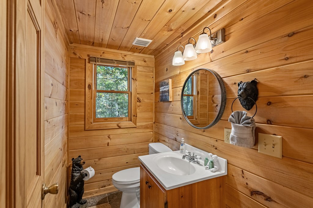 196 Ethan Wilson Way Morganton, GA 30560 - Photo 24 of 66 a bathroom with a sink a toilet and a mirror