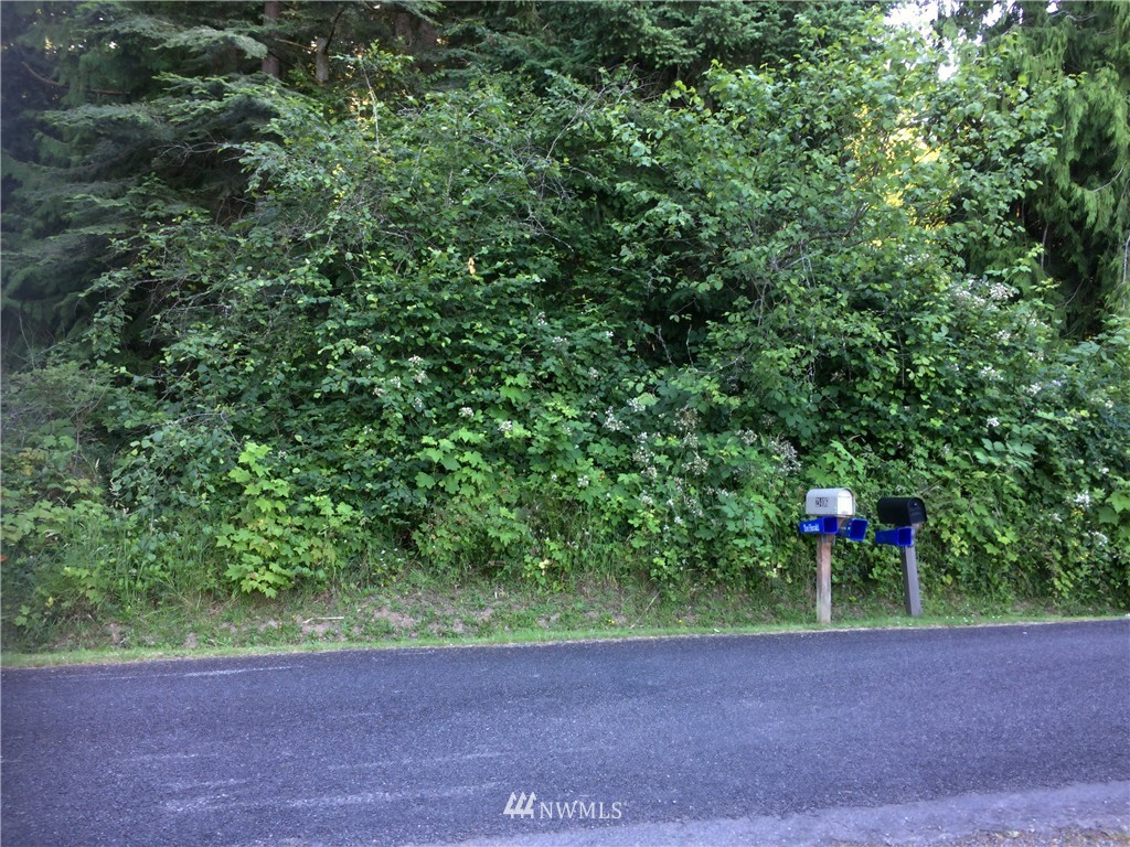 21405 President Point Road Northeast Kingston, WA 98346 - Photo 11 of 17 Gallery Image 11