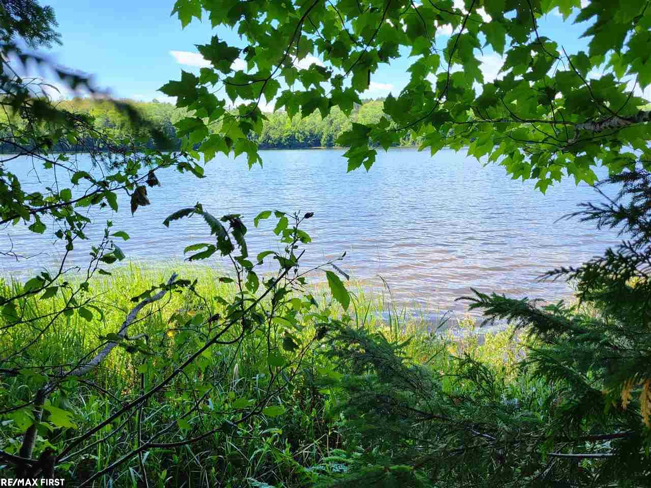 0 Engman Lake Access Road Skandia, MI 49885 - Photo 5 of 17