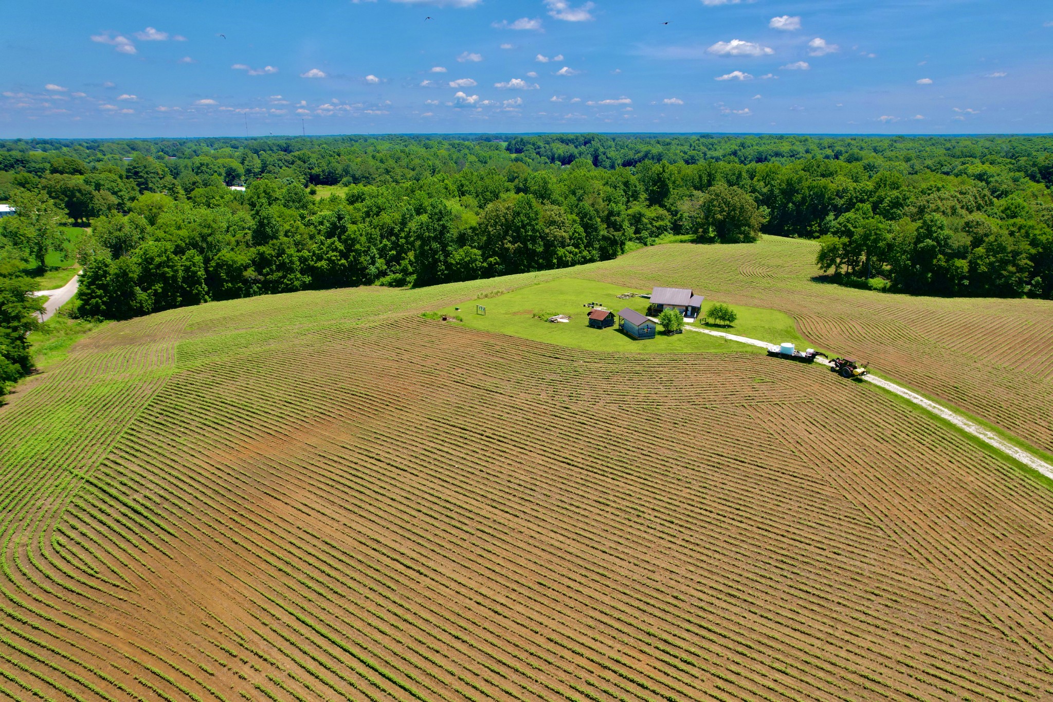 8 Lambs Ferry Road Leoma, TN 38468 - Photo 41 of 53