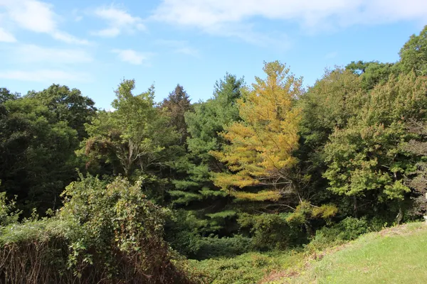a bedroom with two beds and a large window