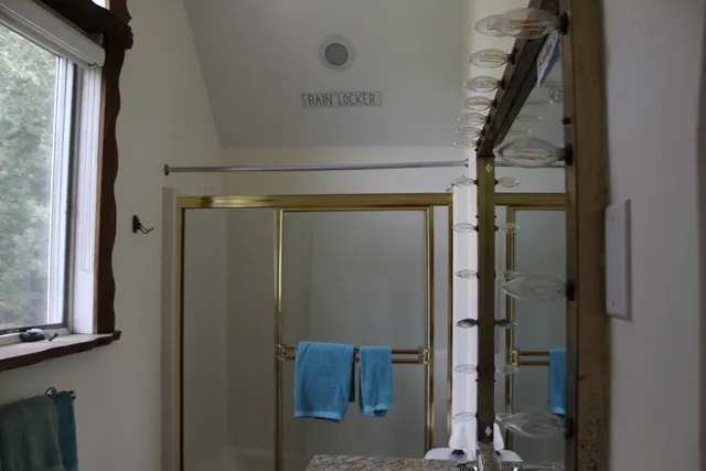 a view of a yard with plants