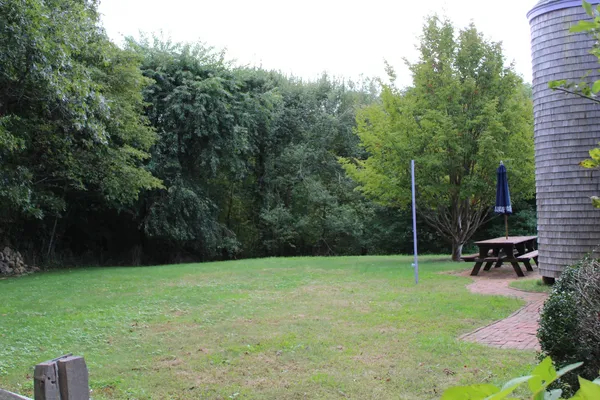 a view of a yard with lots of trees