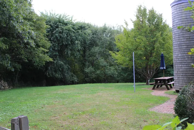 a view of a yard with lots of trees