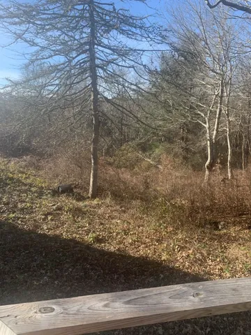 $2,690,000 | 55 Old House Way, West Tisbury, MA 02568