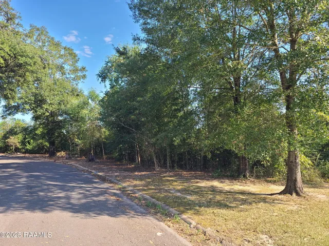 $25,000 | Tbd Carbon Loop, Ville Platte, LA 70586