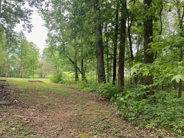 150 Krapps Subdivision Road Pulaski, TN 38478 - Photo 23 of 27 Gallery Image 23